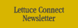 lettuce connect newsletter